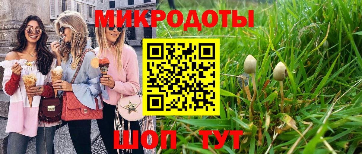 Псилоцибиновые грибы Cubensis Вичуга